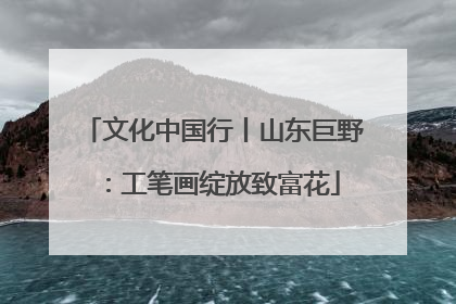 文化中国行丨山东巨野：工笔画绽放致富花