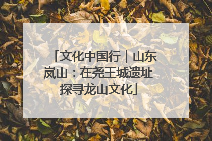 文化中国行｜山东岚山：在尧王城遗址探寻龙山文化