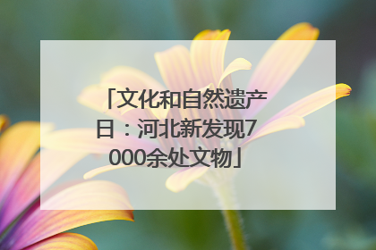 文化和自然遗产日：河北新发现7000余处文物
