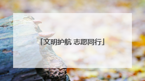 文明护航 志愿同行