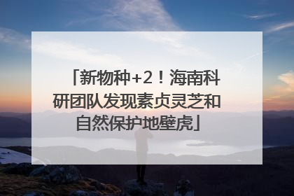 新物种+2！海南科研团队发现素贞灵芝和自然保护地壁虎