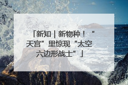 新知｜新物种！“天宫”里惊现“太空六边形战士”
