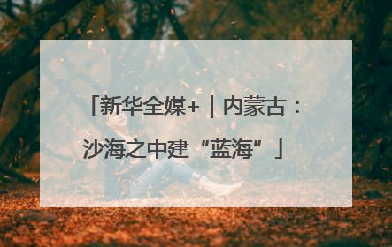 新华全媒+｜内蒙古：沙海之中建“蓝海”