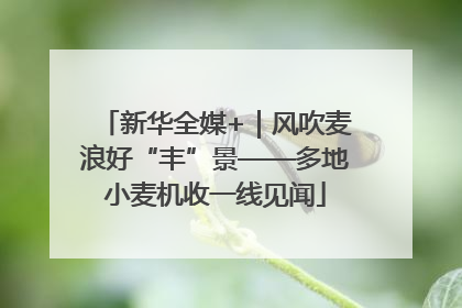 新华全媒+｜风吹麦浪好“丰”景——多地小麦机收一线见闻