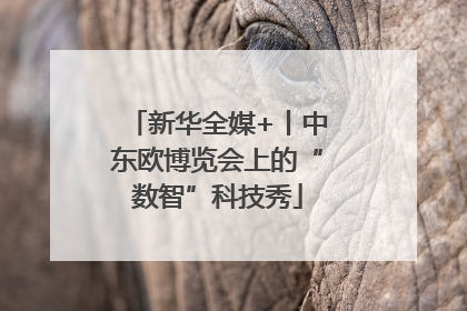 新华全媒+丨中东欧博览会上的“数智”科技秀
