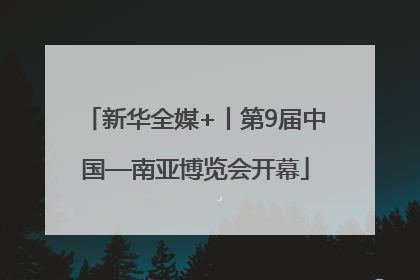 新华全媒+丨第9届中国—南亚博览会开幕