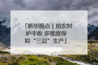 新华视点｜抢农时 护丰收 多维度保障“三夏”生产