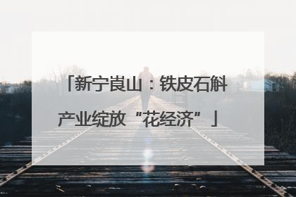 新宁崀山：铁皮石斛产业绽放“花经济”