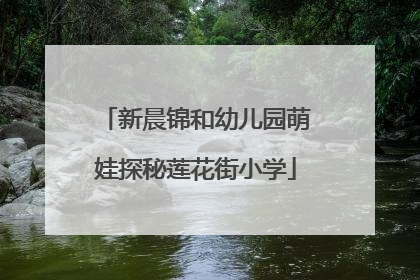 新晨锦和幼儿园萌娃探秘莲花街小学