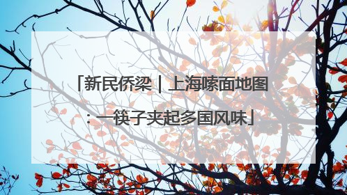 新民侨梁｜上海嗦面地图：一筷子夹起多国风味