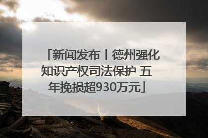 新闻发布丨德州强化知识产权司法保护 五年挽损超930万元