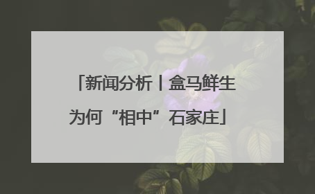 新闻分析丨盒马鲜生为何“相中”石家庄