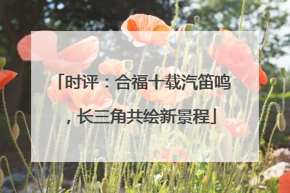 时评：合福十载汽笛鸣，长三角共绘新景程
