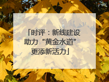 时评：新线建设助力“黄金水道”更添新活力