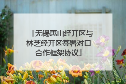 无锡惠山经开区与林芝经开区签署对口合作框架协议