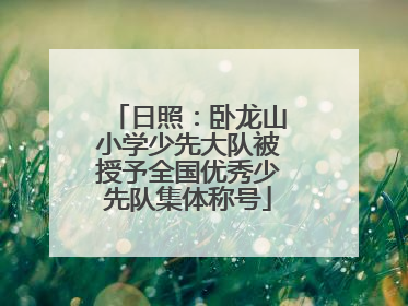 日照：卧龙山小学少先大队被授予全国优秀少先队集体称号