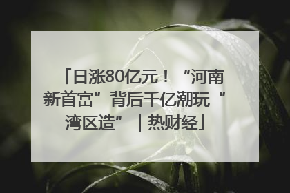 日涨80亿元！“河南新首富”背后千亿潮玩“湾区造”｜热财经