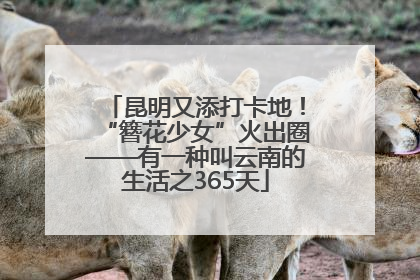 昆明又添打卡地！“簪花少女”火出圈——有一种叫云南的生活之365天