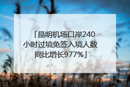 昆明机场口岸240小时过境免签入境人数同比增长977%