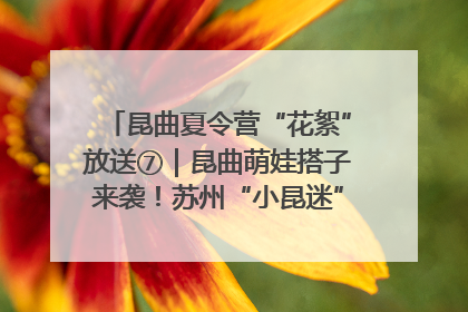 昆曲夏令营“花絮”放送⑦｜昆曲萌娃搭子来袭！苏州“小昆迷”姐弟期待同台演绎“姑苏水磨调”