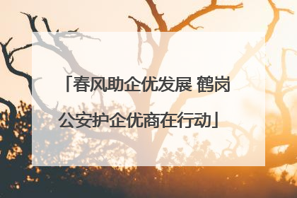 春风助企优发展 鹤岗公安护企优商在行动