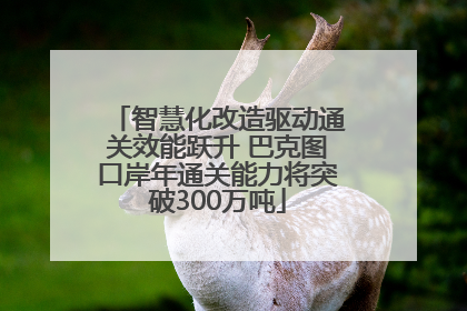 智慧化改造驱动通关效能跃升 巴克图口岸年通关能力将突破300万吨