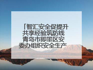 智汇安全促提升 共享经验筑防线 青岛市即墨区安委办组织安全生产共享专家现场观摩学习活动
