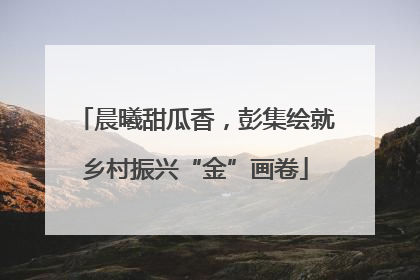 晨曦甜瓜香，彭集绘就乡村振兴“金”画卷