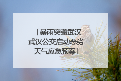 暴雨突袭武汉 武汉公交启动恶劣天气应急预案