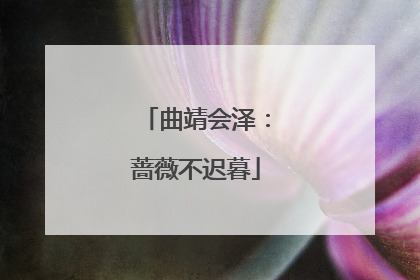 曲靖会泽：蔷薇不迟暮