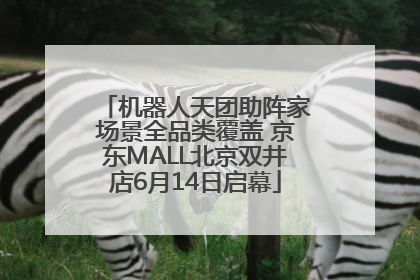机器人天团助阵家场景全品类覆盖 京东MALL北京双井店6月14日启幕