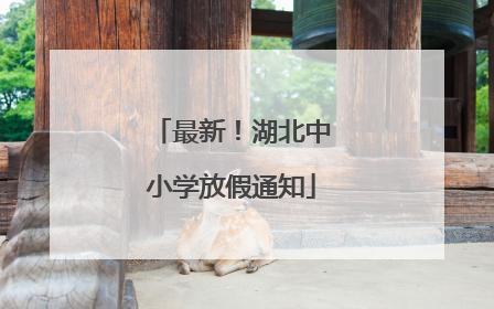最新！湖北中小学放假通知