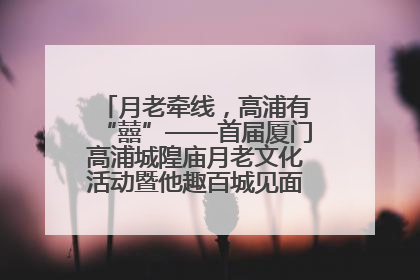 月老牵线，高浦有“囍”——首届厦门高浦城隍庙月老文化活动暨他趣百城见面会隆重举办