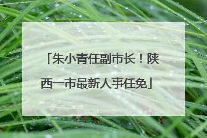 朱小青任副市长！陕西一市最新人事任免