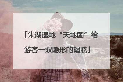 朱湖湿地“天地图”给游客一双隐形的翅膀