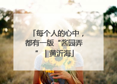 每个人的心中，都有一版“酱园弄”｜黄沂海