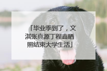 毕业季到了，文淇张真源丁程鑫晒照结束大学生活