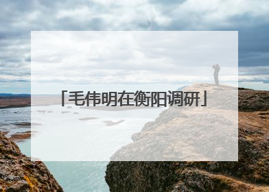 毛伟明在衡阳调研