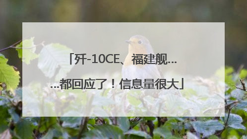 歼-10CE、福建舰……都回应了！信息量很大