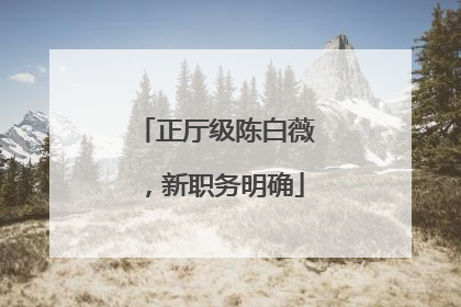 正厅级陈白薇，新职务明确