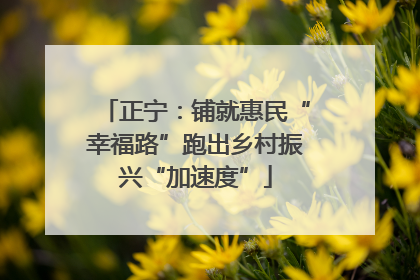 正宁：铺就惠民“幸福路”跑出乡村振兴“加速度”