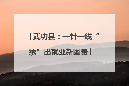 武功县：一针一线“绣”出就业新图景