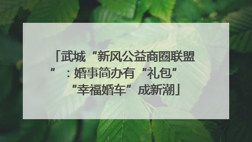 武城“新风公益商圈联盟”：婚事简办有“礼包” “幸福婚车”成新潮