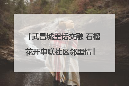 武昌城里话交融 石榴花开串联社区邻里情