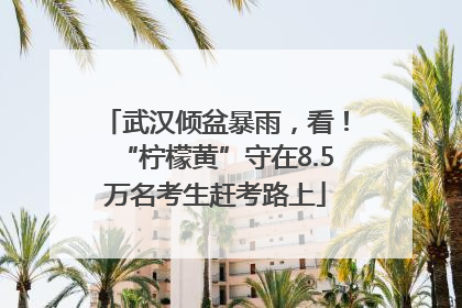 武汉倾盆暴雨，看！“柠檬黄”守在8.5万名考生赶考路上