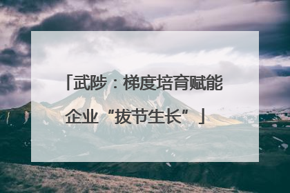 武陟：梯度培育赋能企业“拔节生长”