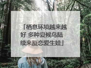 栖息环境越来越好 多种夏候鸟陆续来厦恋爱生娃