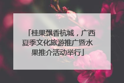 桂果飘香杭城，广西夏季文化旅游推广暨水果推介活动举行
