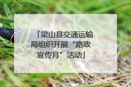 梁山县交通运输局组织开展“路政宣传月”活动