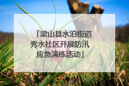 梁山县水泊街道秀水社区开展防汛应急演练活动